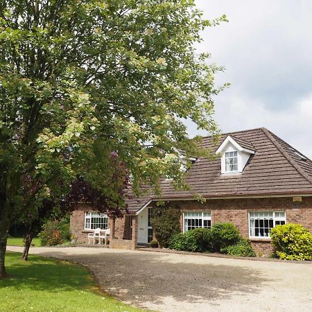 Inglewood Lodge B&B Naas Exterior photo